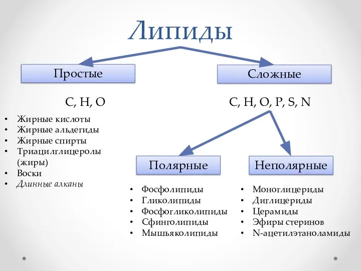 Липиды Простые Сложные C, H, O C, H, O, P, S,