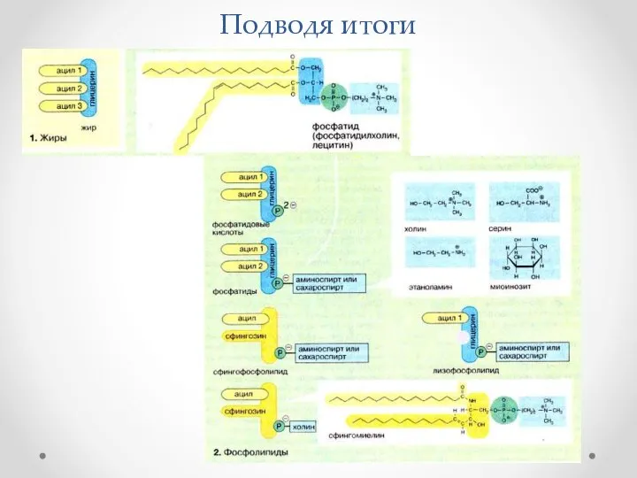 Подводя итоги