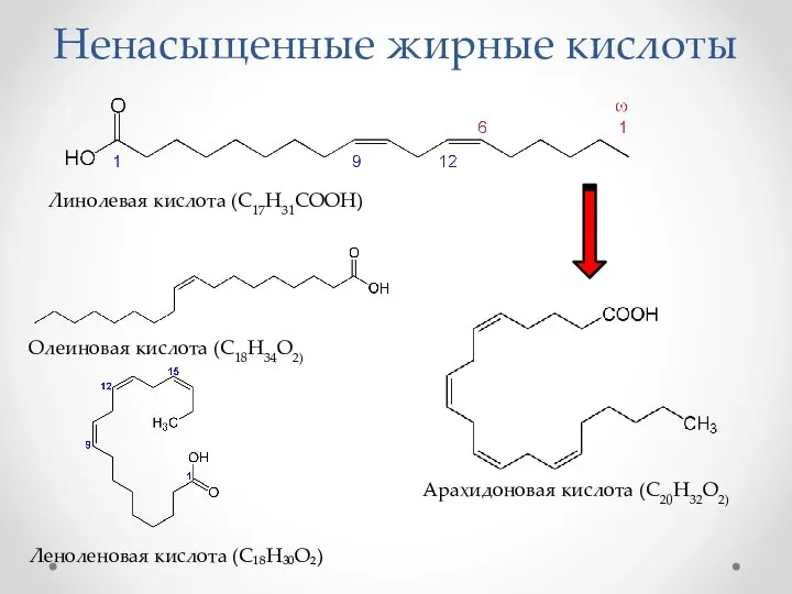 Ненасыщенные жирные кислоты Линолевая кислота (С17H31COOH) Олеиновая кислота (C18H34O2) Леноленовая кислота (C₁₈H₃₀O₂) Арахидоновая кислота (C20H32O2)