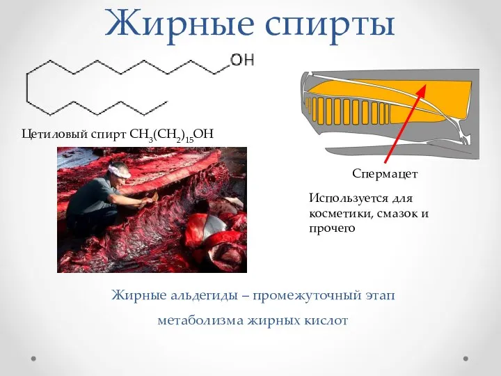 Жирные спирты Цетиловый спирт СH3(CH2)15OH Спермацет Используется для косметики, смазок и