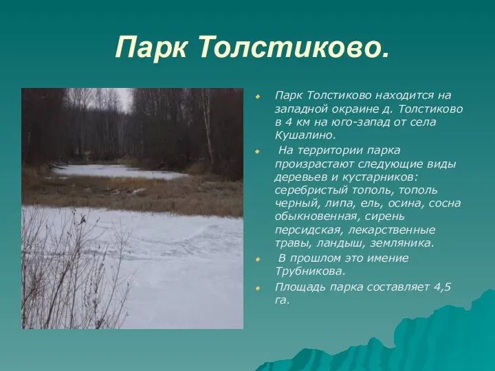 Парк Толстиково. Парк Толстиково находится на западной окраине д. Толстиково в