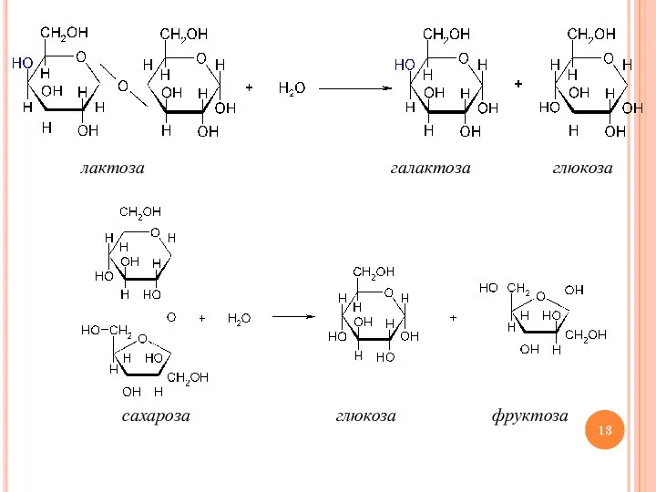 лактоза галактоза глюкоза сахароза глюкоза фруктоза