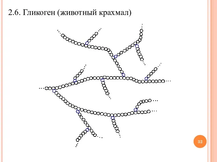 2.6. Гликоген (животный крахмал)