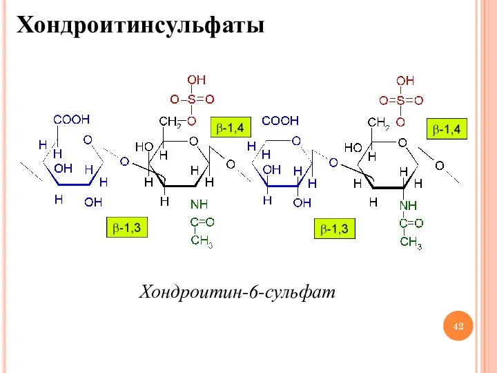 Хондроитинсульфаты Хондроитин-6-сульфат