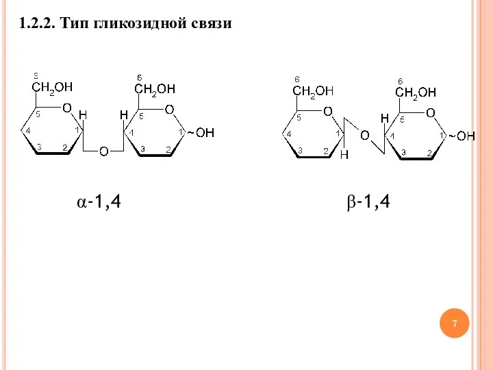 1.2.2. Тип гликозидной связи α-1,4 β-1,4