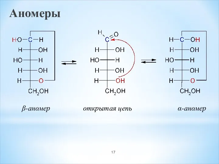 Аномеры β-аномер открытая цепь α-аномер