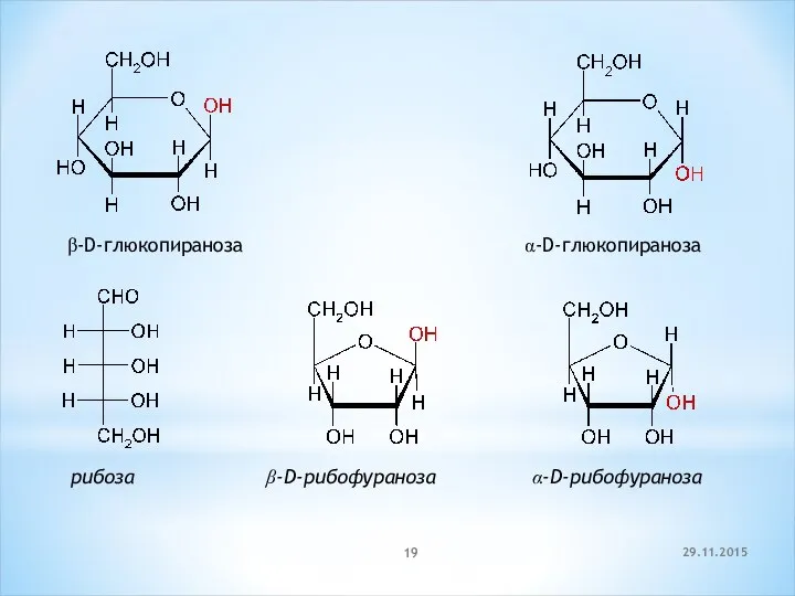 29.11.2015 β-D-глюкопираноза α-D-глюкопираноза рибоза β-D-рибофураноза α-D-рибофураноза