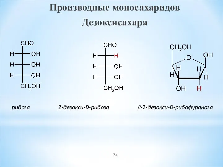 Производные моносахаридов Дезоксисахара рибоза 2-дезокси-D-рибоза β-2-дезокси-D-рибофураноза