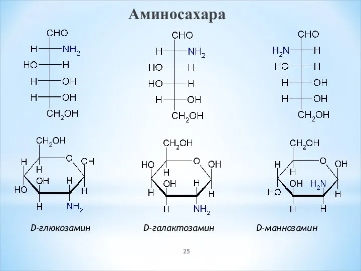 Аминосахара D-глюкозамин D-галактозамин D-маннозамин