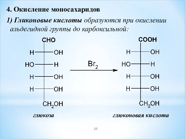 4. Окисление моносахаридов 1) Гликоновые кислоты образуются при окислении альдегидной группы до карбоксильной: глюкоза глюконовая кислота