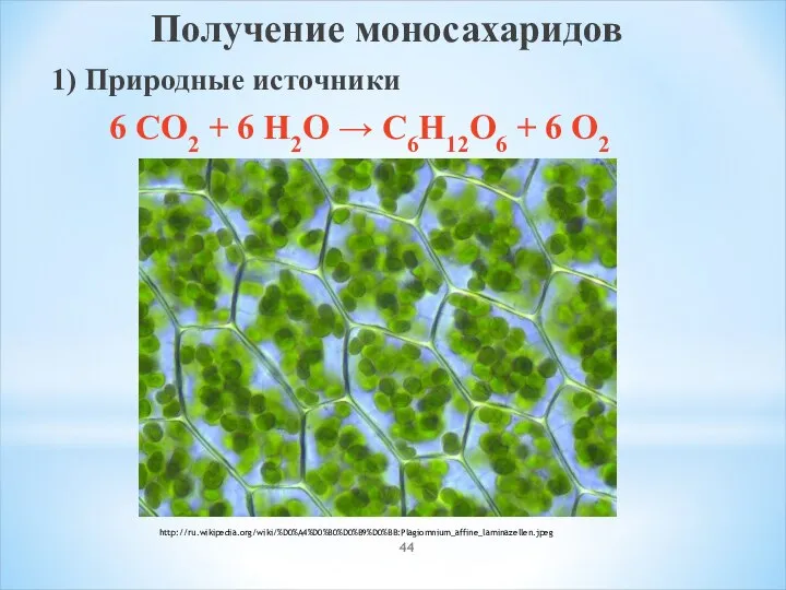 Получение моносахаридов 1) Природные источники 6 CO2 + 6 H2O → C6H12O6 + 6 O2 http://ru.wikipedia.org/wiki/%D0%A4%D0%B0%D0%B9%D0%BB:Plagiomnium_affine_laminazellen.jpeg