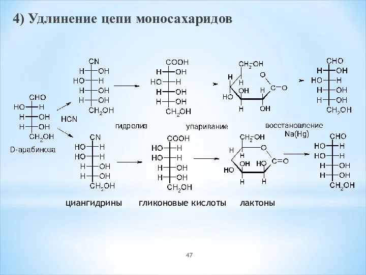 4) Удлинение цепи моносахаридов циангидрины гликоновые кислоты лактоны