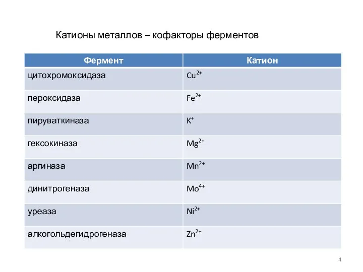 Катионы металлов – кофакторы ферментов