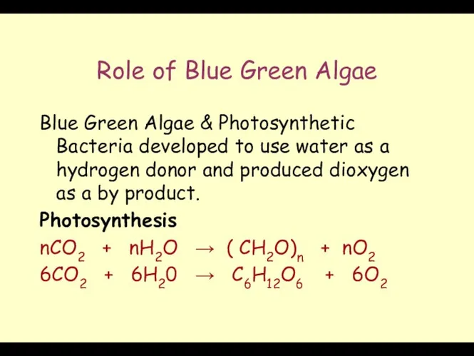 Role of Blue Green Algae Blue Green Algae & Photosynthetic Bacteria