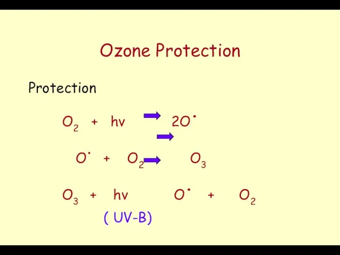 Ozone Protection Protection O2 + hν 2O. O. + O2 O3