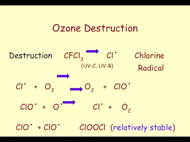 Ozone Destruction Destruction CFCl3 Cl. Chlorine (UV-C, UV-B) Radical Cl. +