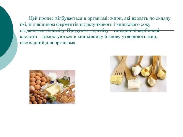 Цей процес відбувається в організмі: жири, які входять до складу їжі,