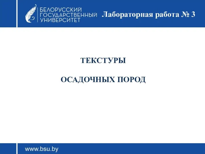 ТЕКСТУРЫ ОСАДОЧНЫХ ПОРОД Лабораторная работа № 3