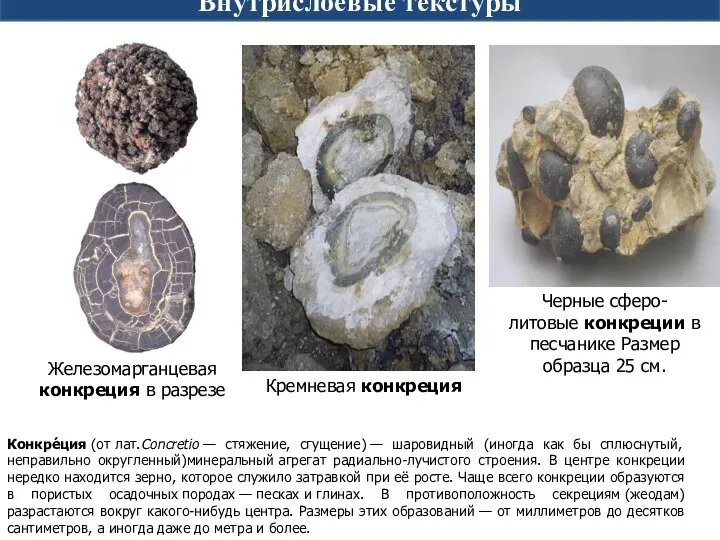 Лабораторная работа № 1 Внутрислоевые текстуры Конкре́ция (от лат.Concretio — стяжение,