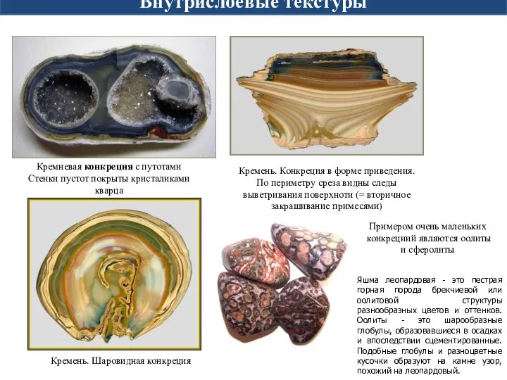 Лабораторная работа № 1 Внутрислоевые текстуры Кремневая конкреция с путотами Стенки