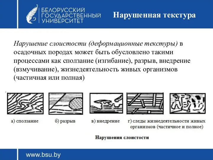 Нарушенная текстура Нарушение слоистости (деформационные текстуры) в осадочных породах может быть