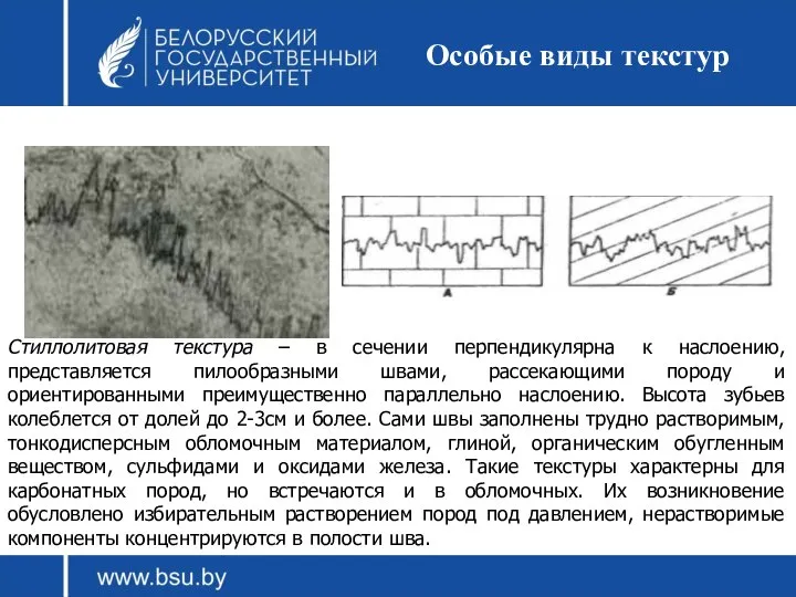 Особые виды текстур Стиллолитовая текстура – в сечении перпендикулярна к наслоению,