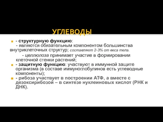 УГЛЕВОДЫ - структурную функцию: - являются обязательным компонентом большинства внутриклеточных структур;