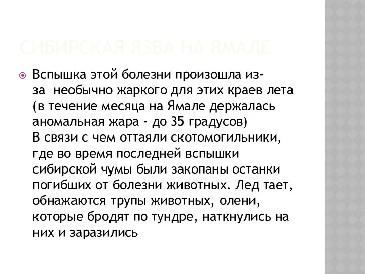 СИБИРСКАЯ ЯЗВА НА ЯМАЛЕ Вспышка этой болезни произошла из-за необычно жаркого