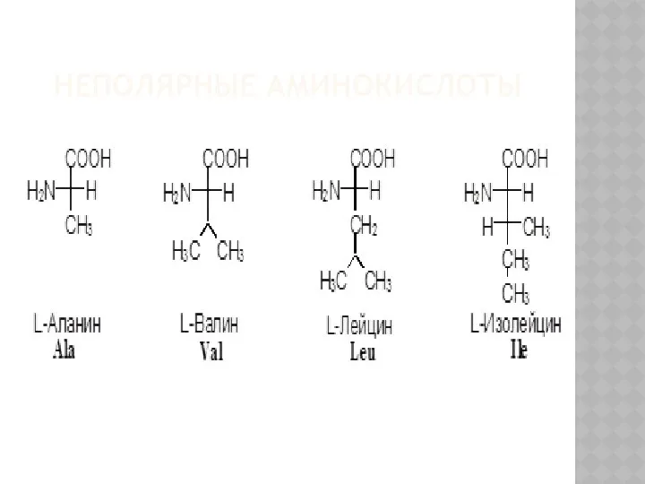 НЕПОЛЯРНЫЕ АМИНОКИСЛОТЫ