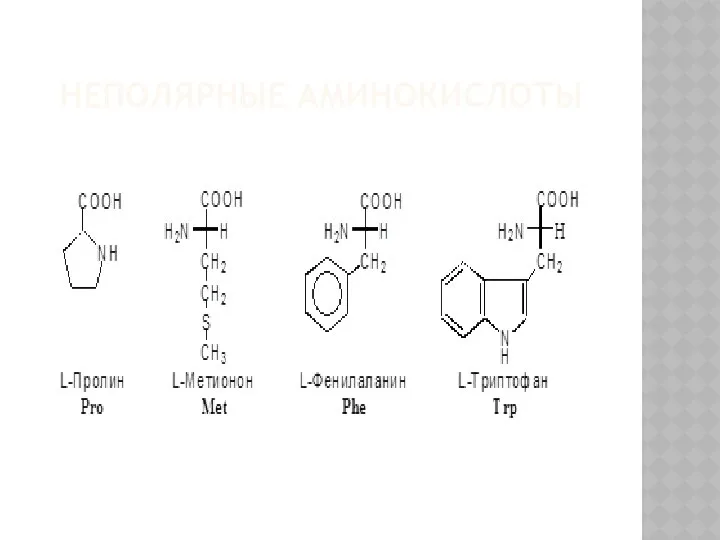 НЕПОЛЯРНЫЕ АМИНОКИСЛОТЫ