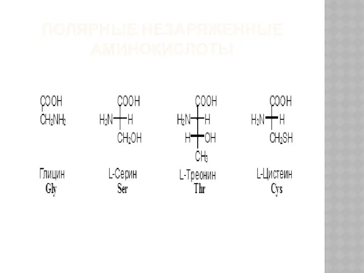 ПОЛЯРНЫЕ НЕЗАРЯЖЕННЫЕ АМИНОКИСЛОТЫ