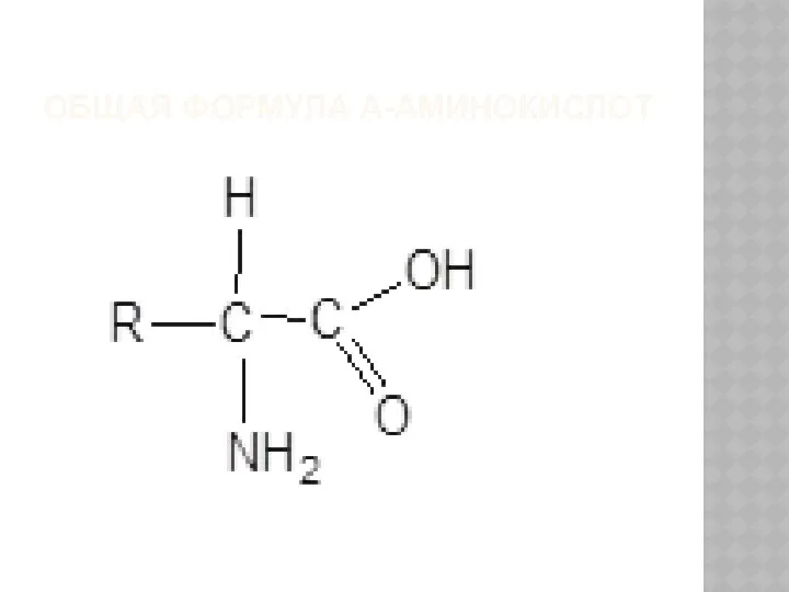 ОБЩАЯ ФОРМУЛА Α-АМИНОКИСЛОТ