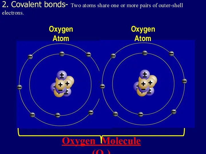 2. Covalent bonds- Two atoms share one or more pairs of