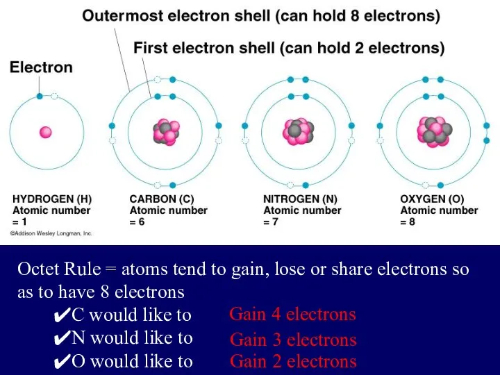 Octet Rule = atoms tend to gain, lose or share electrons