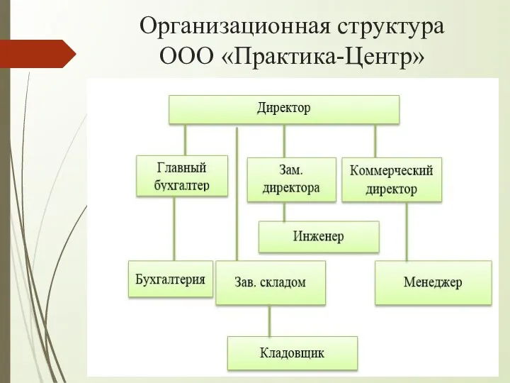 Организационная структура ООО «Практика-Центр»