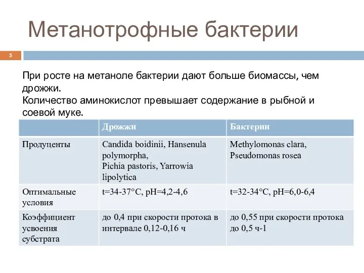 Метанотрофные бактерии При росте на метаноле бактерии дают больше биомассы, чем