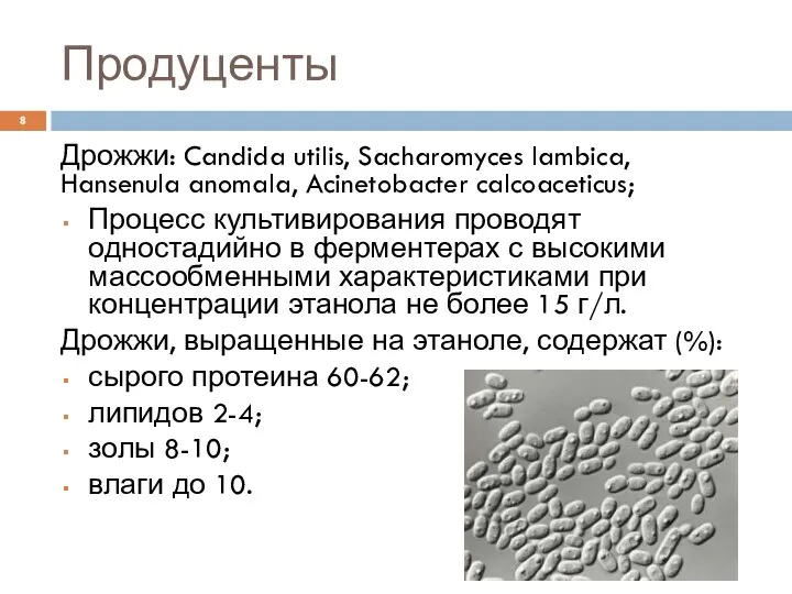 Продуценты Дрожжи: Candida utilis, Sacharomyces lambica, Hansenula anomala, Acinetobacter calcoaceticus; Процесс