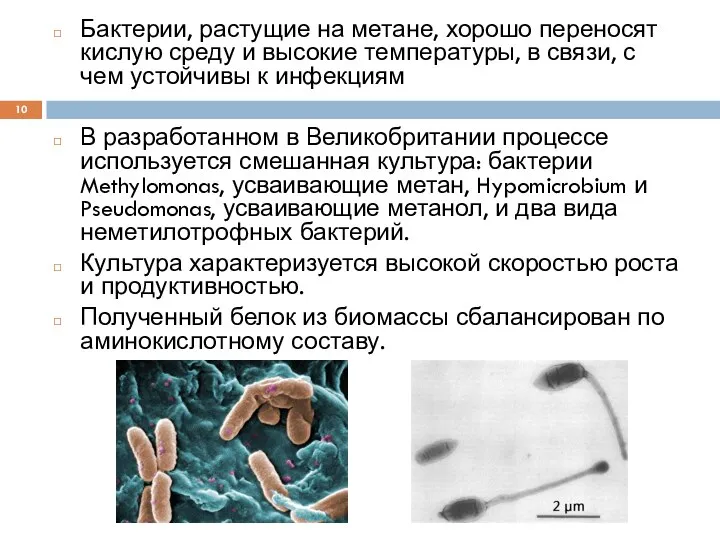 Бактерии, растущие на метане, хорошо переносят кислую среду и высокие температуры,