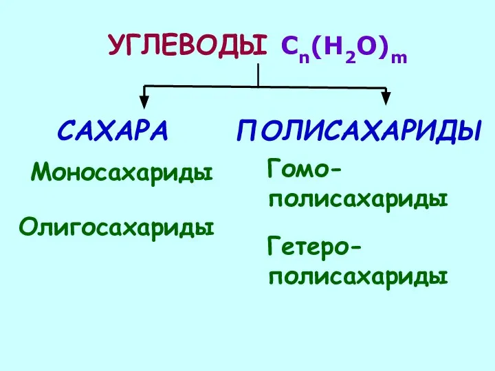 УГЛЕВОДЫ Cn(H2O)m САХАРА ПОЛИСАХАРИДЫ Моносахариды Олигосахариды Гетеро-полисахариды Гомо-полисахариды