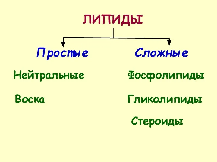 ЛИПИДЫ Простые Сложные Нейтральные Воска Гликолипиды Фосфолипиды Стероиды