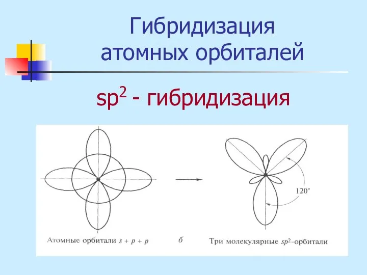 Гибридизация атомных орбиталей sр2 - гибридизация