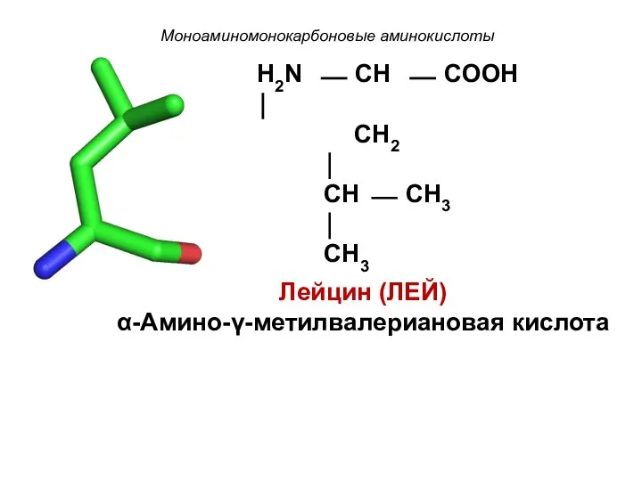 Моноаминомонокарбоновые аминокислоты H2N ⎯ CH ⎯ COOH ⏐ CH2 ⏐ CH