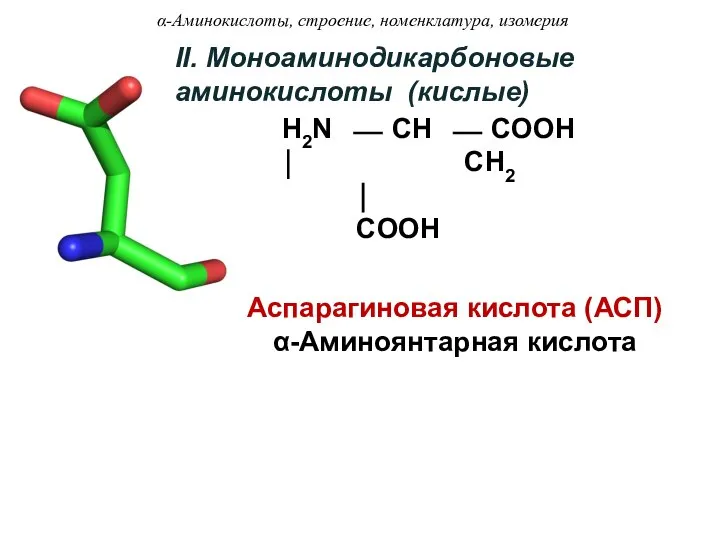 II. Моноаминодикарбоновые аминокислоты (кислые) H2N ⎯ CH ⎯ COOH ⏐ CH2