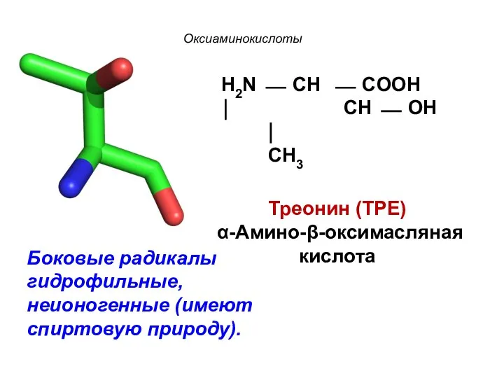 Оксиаминокислоты H2N ⎯ CH ⎯ COOH ⏐ CH ⎯ OH ⏐