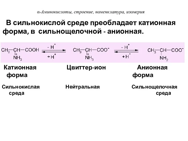 Сильнокислая Нейтральная Сильнощелочная среда среда В сильнокислой среде преобладает катионная форма,