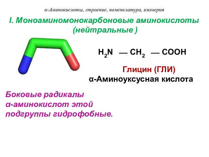 I. Моноаминомонокарбоновые аминокислоты (нейтральные ) H2N ⎯ CH2 ⎯ COOH Глицин