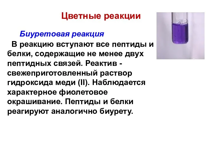 Биуретовая реакция В реакцию вступают все пептиды и белки, содержащие не