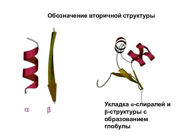 Обозначение вторичной структуры Укладка α-спиралей и β-структуры с образованием глобулы