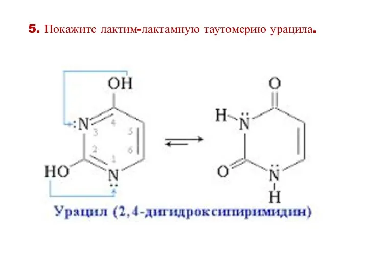 5. Покажите лактим-лактамную таутомерию урацила.