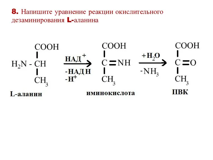 8. Напишите уравнение реакции окислительного дезаминирования L-аланина